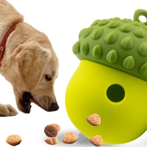 Son şirket haberleri Köpekler ve kediler için en iyi silikon evcil hayvan ürünleri Günlük kullanım için güvenli, özelleştirilebilir ve çevre dostu aksesuarlar